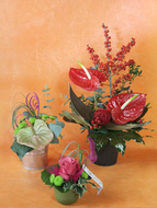 decoration-7.jpg